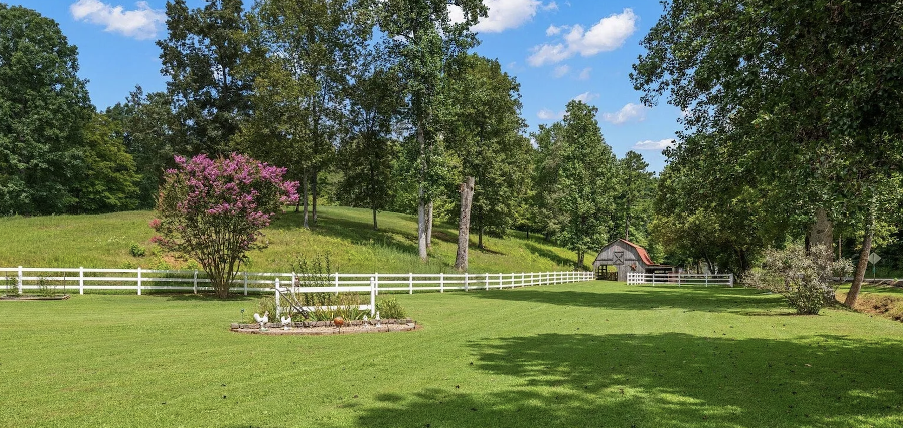 Expansive farm landscape with green pastures, blooming crepe myrtle tree, white rail fencing, and rustic barn