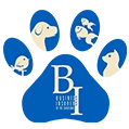 Business Insurers of the Carolinas badge